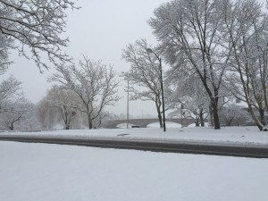 Snow covered scene wtih bridge in background