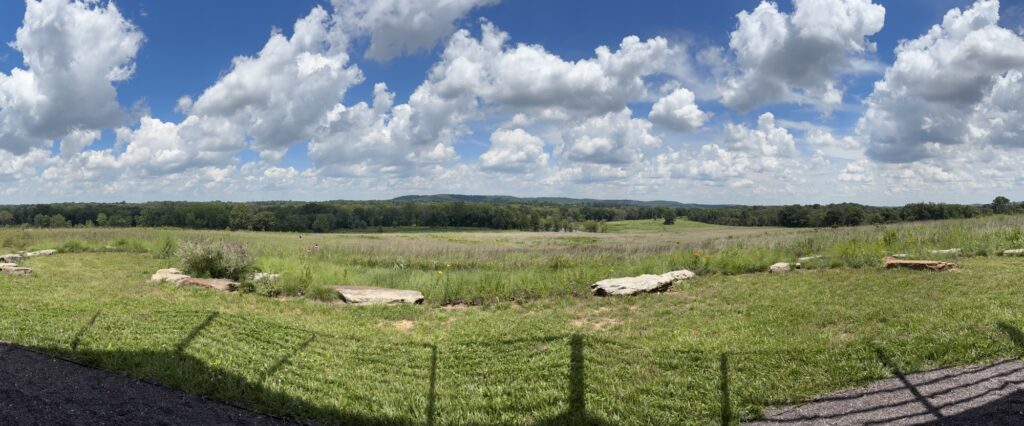 Prairie at Shaw's Nature Reserve